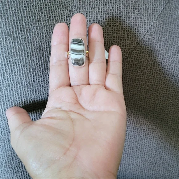 ✨️HP✨️ Shivam Zebra🦓 Jasper Statement Ring💍 - NWT - Picture 15 of 16
